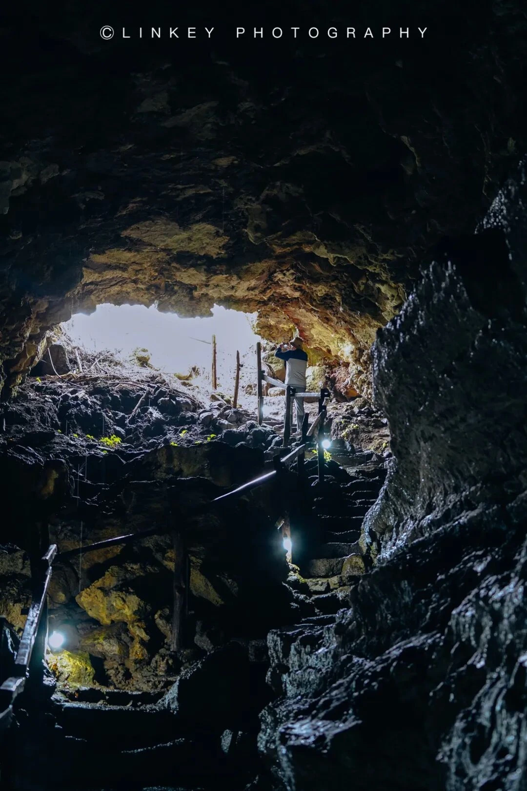 加拉帕戈斯旅行影像 18