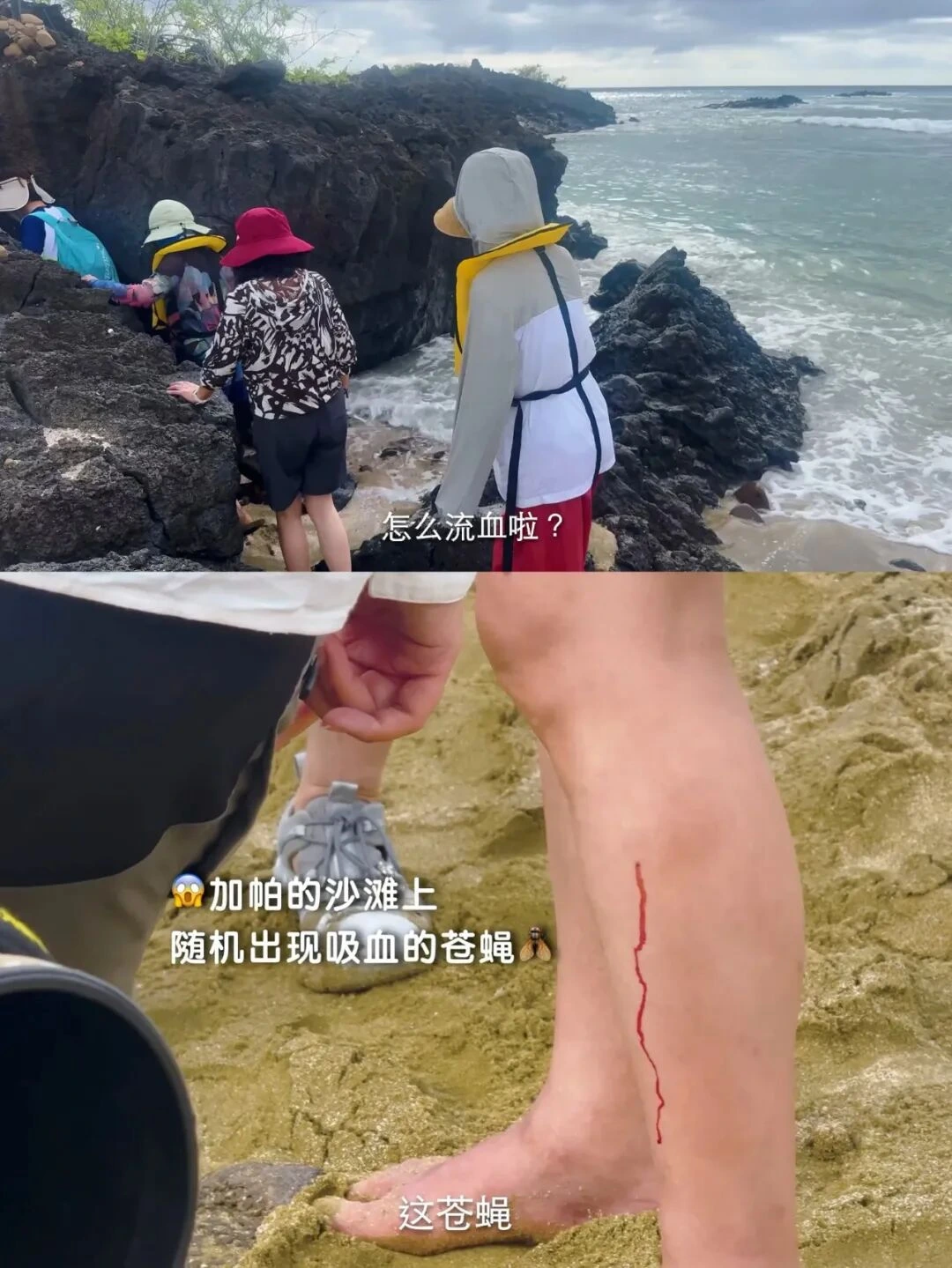 加拉帕戈斯旅行影像 197