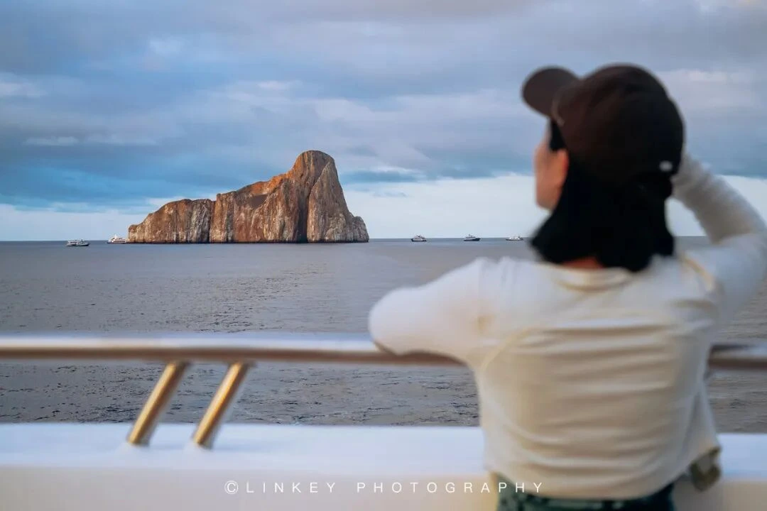 加拉帕戈斯旅行影像 214