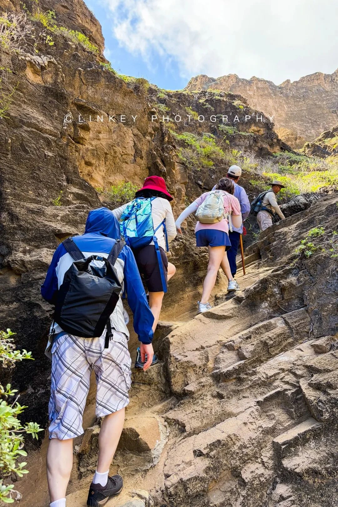 加拉帕戈斯旅行影像 219