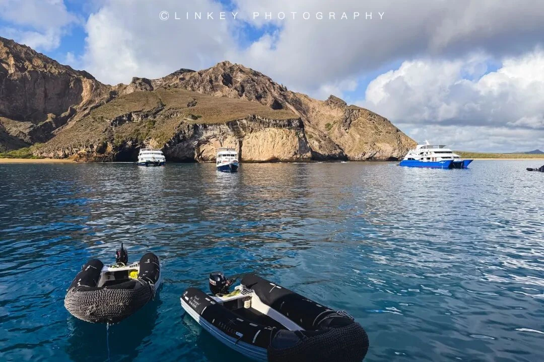 加拉帕戈斯旅行影像 221