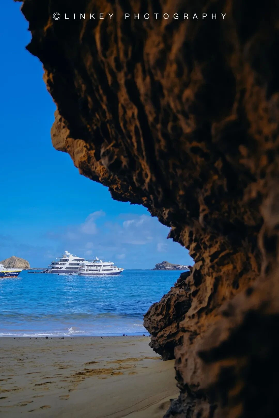 加拉帕戈斯旅行影像 223