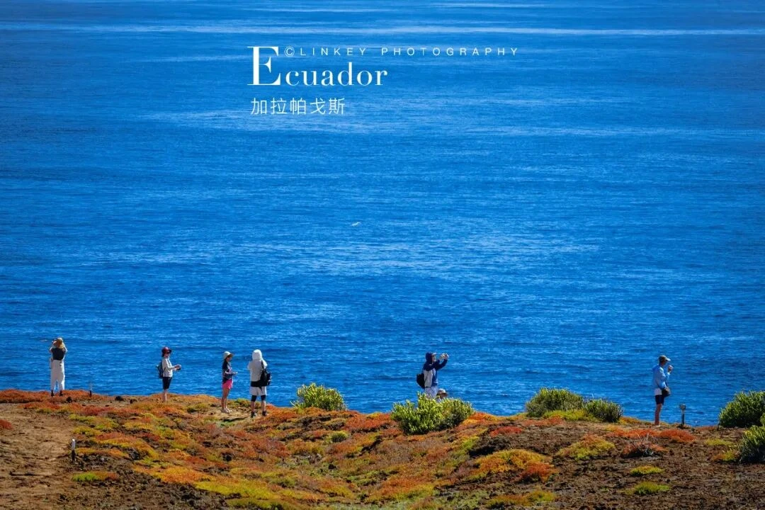 加拉帕戈斯旅行影像 229