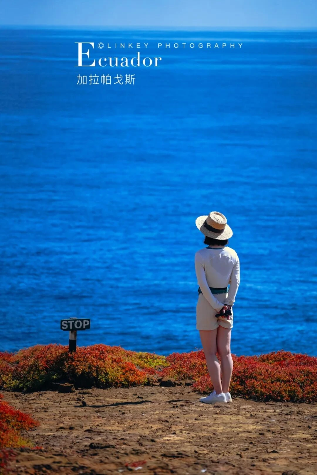 加拉帕戈斯旅行影像 231