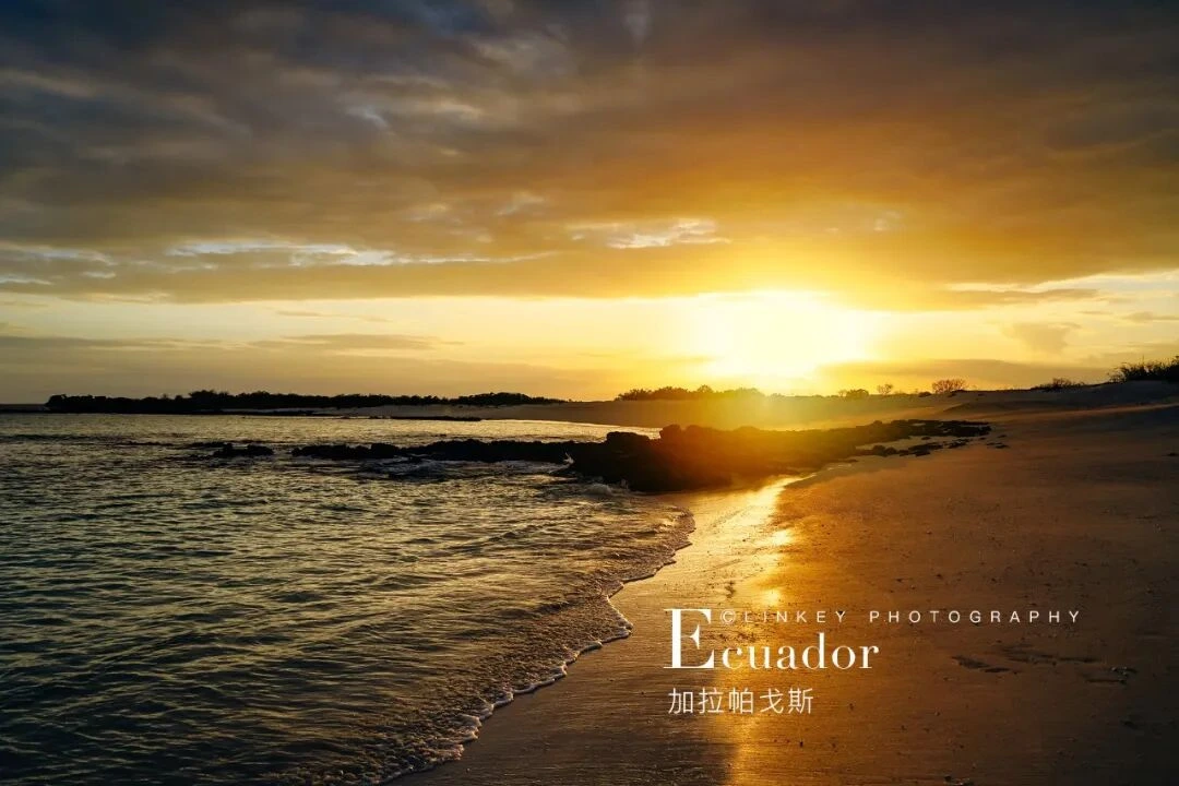 加拉帕戈斯旅行影像 35