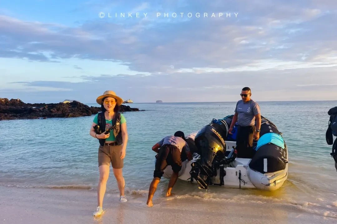 加拉帕戈斯旅行影像 36