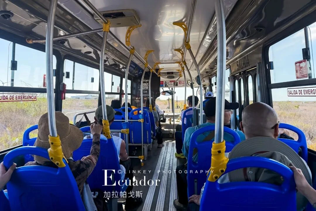 加拉帕戈斯旅行影像 46