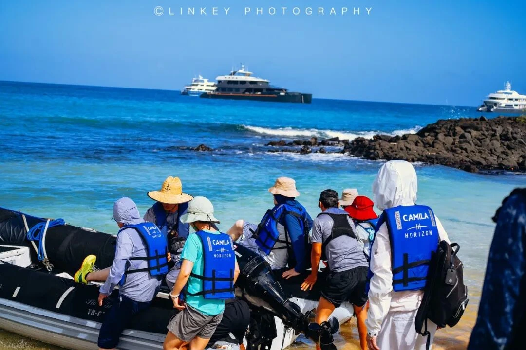 加拉帕戈斯旅行影像 55