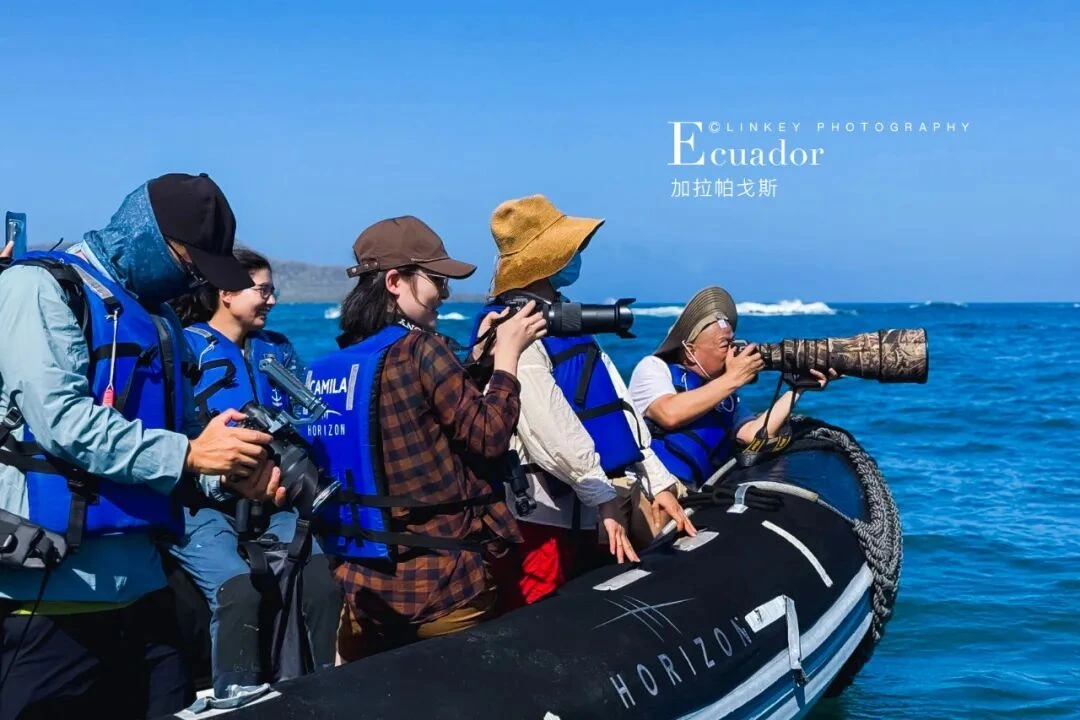 加拉帕戈斯旅行影像 61