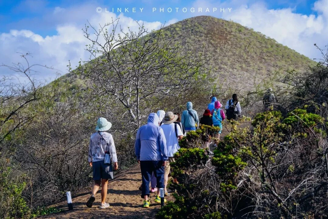 加拉帕戈斯旅行影像 75