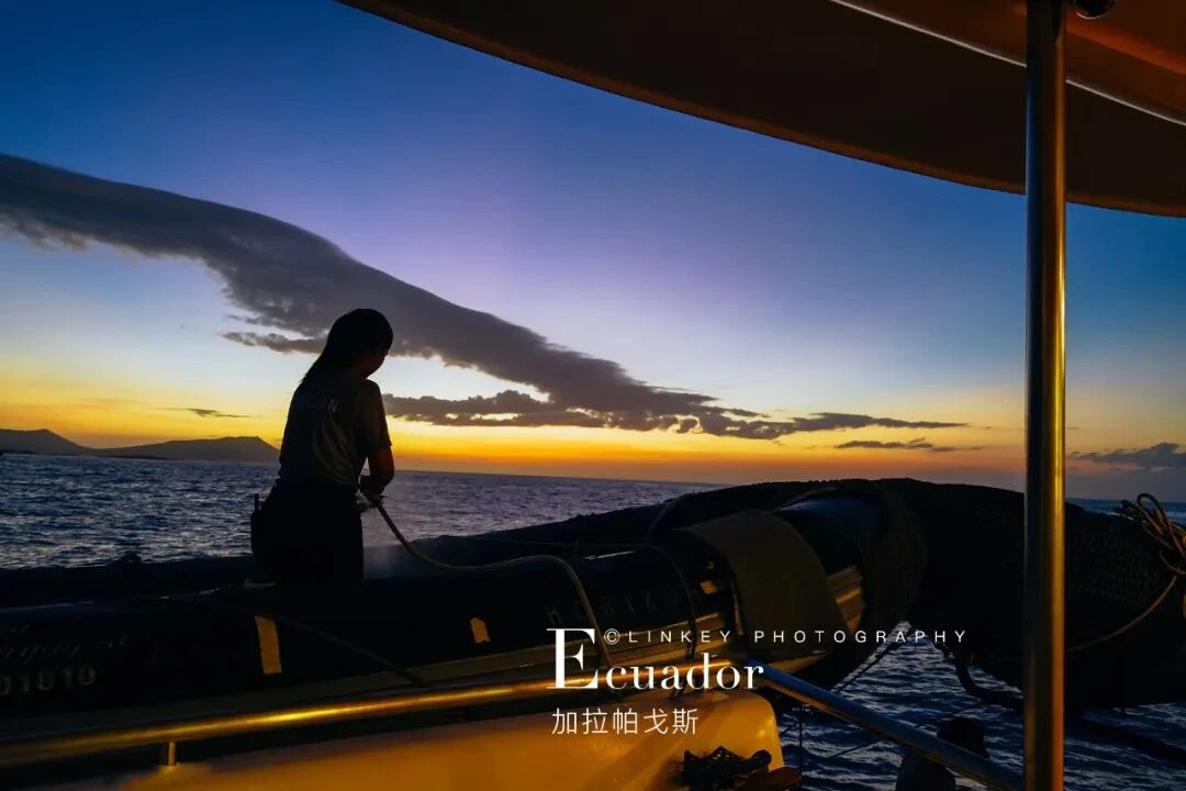 加拉帕戈斯旅行影像 91