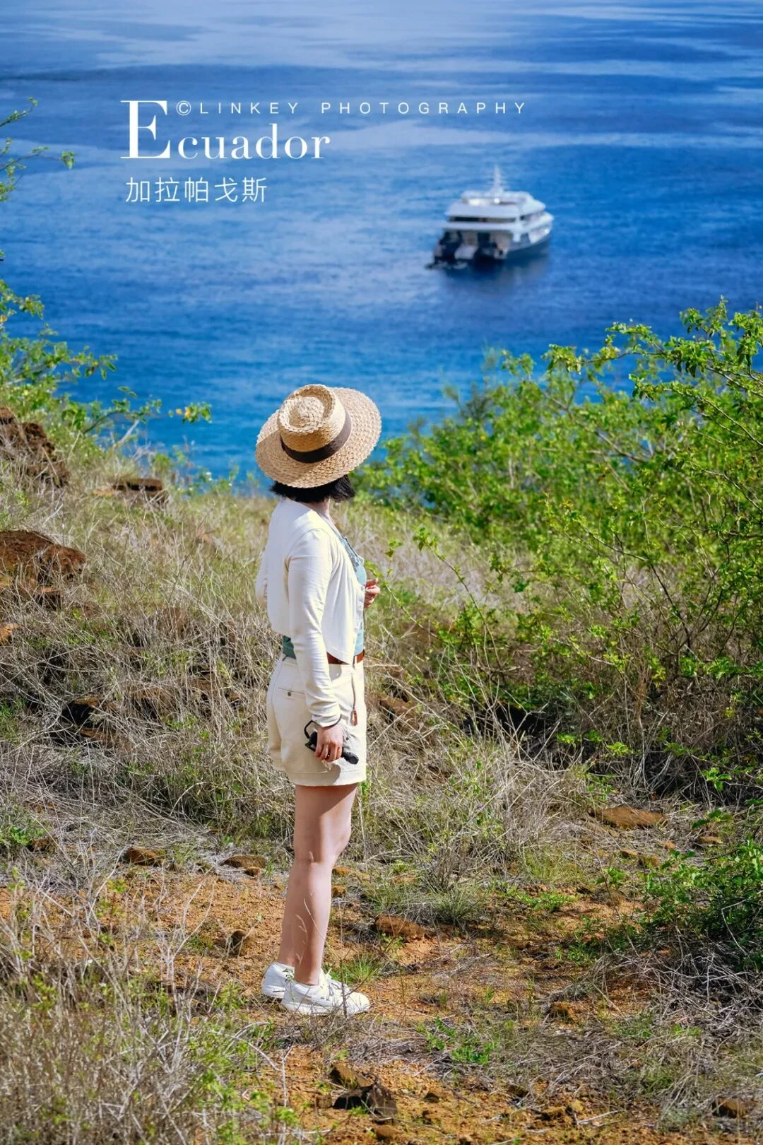 地平线号旅行影像 27