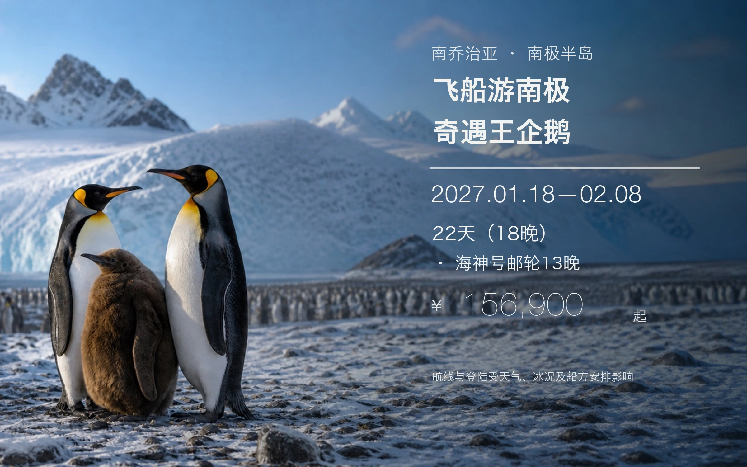 飞船游南极 · 奇遇王企鹅专题