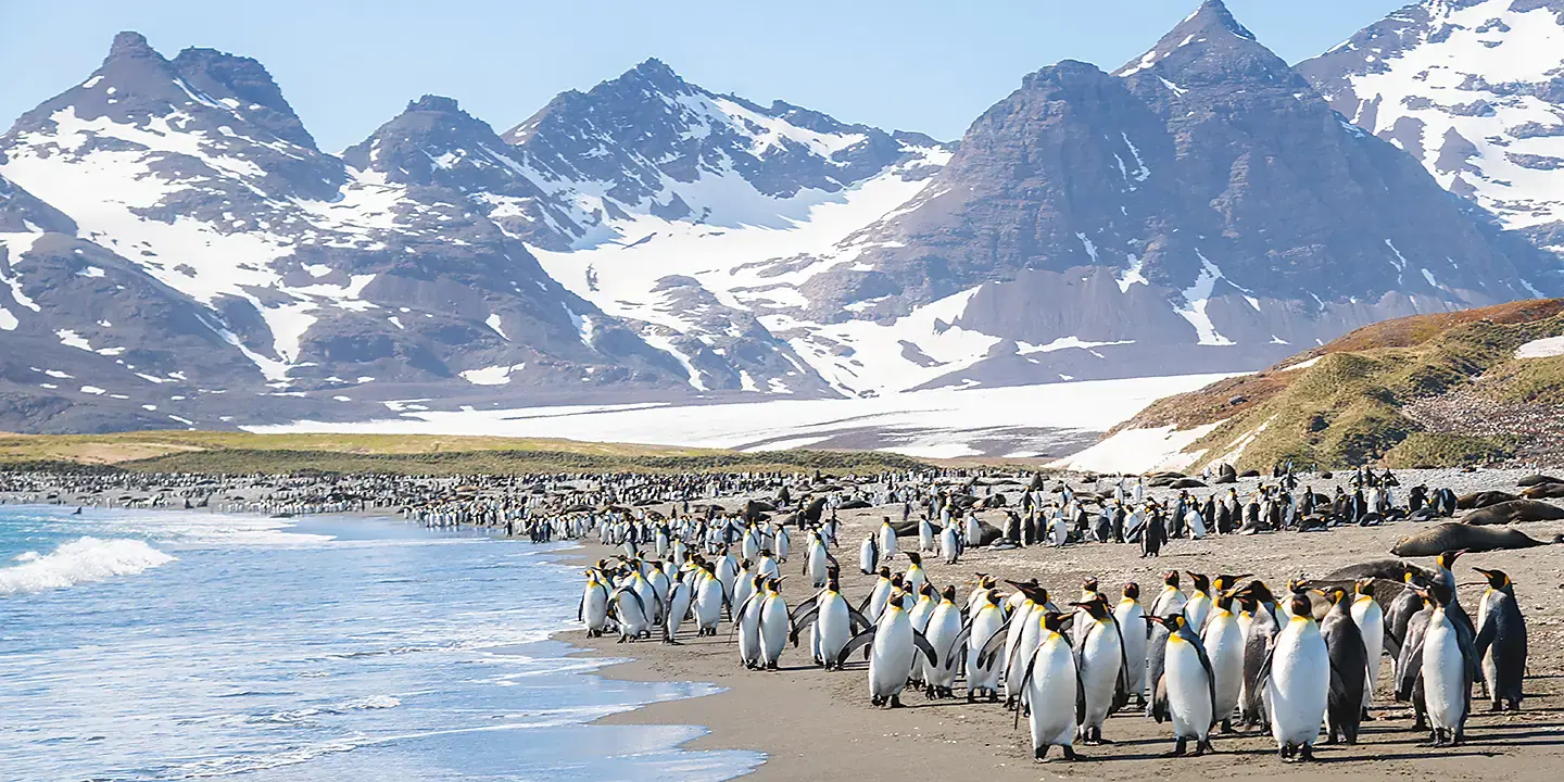 aurora-2026-12-17-douglas-mawson-antarctica-complete · 南极航线景观