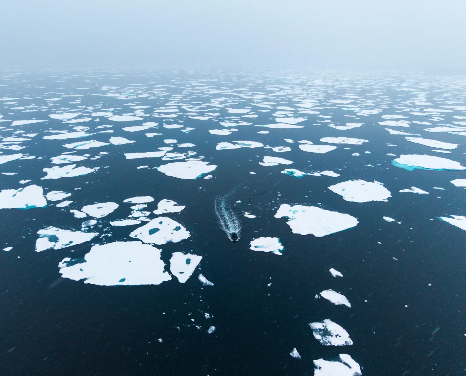 aurora-2026-12-18-sylvia-earle-across-the-antarctic-circle · 南极航线景观