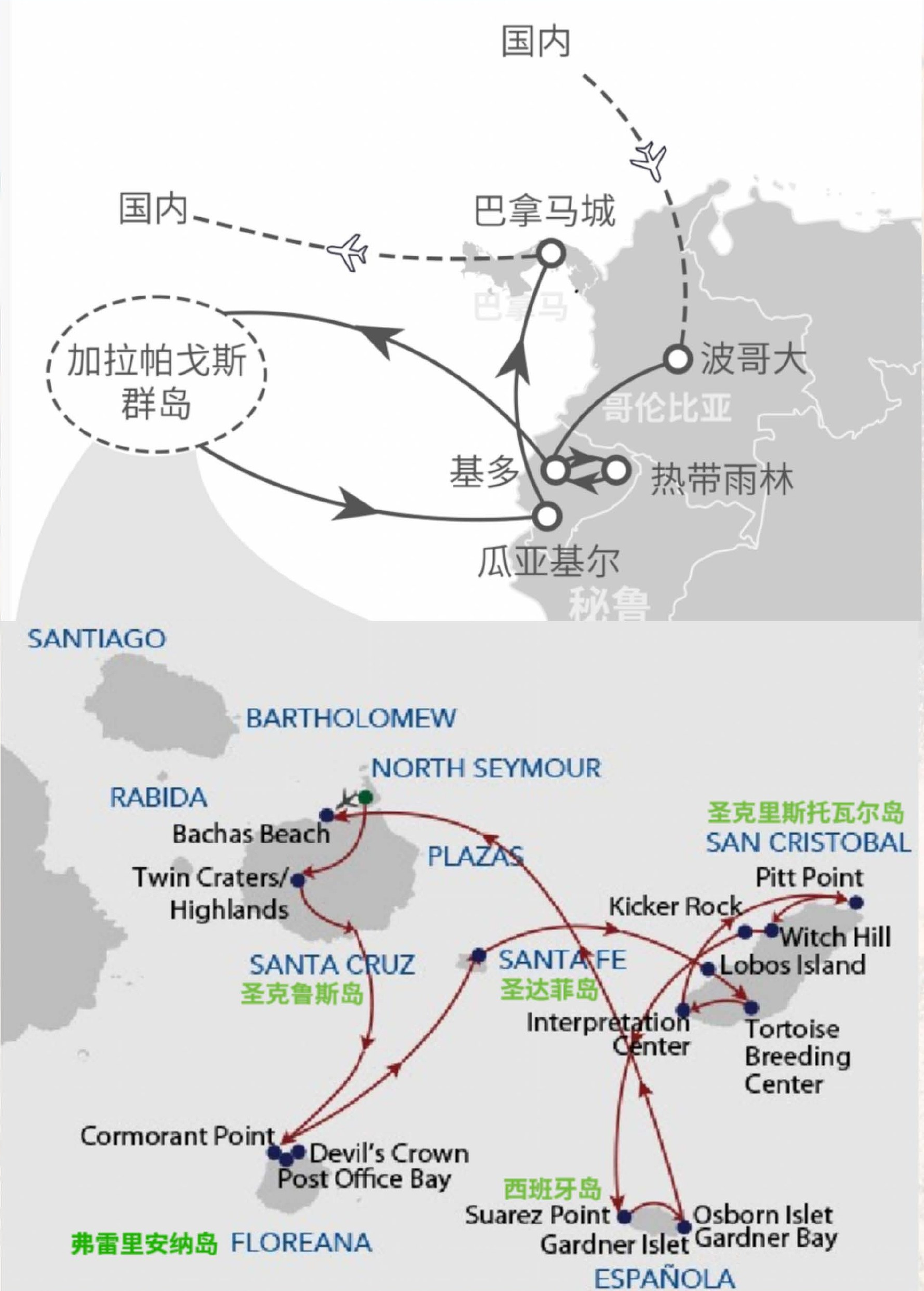 2026年10月中南美洲三国与加拉帕戈斯完整路线图