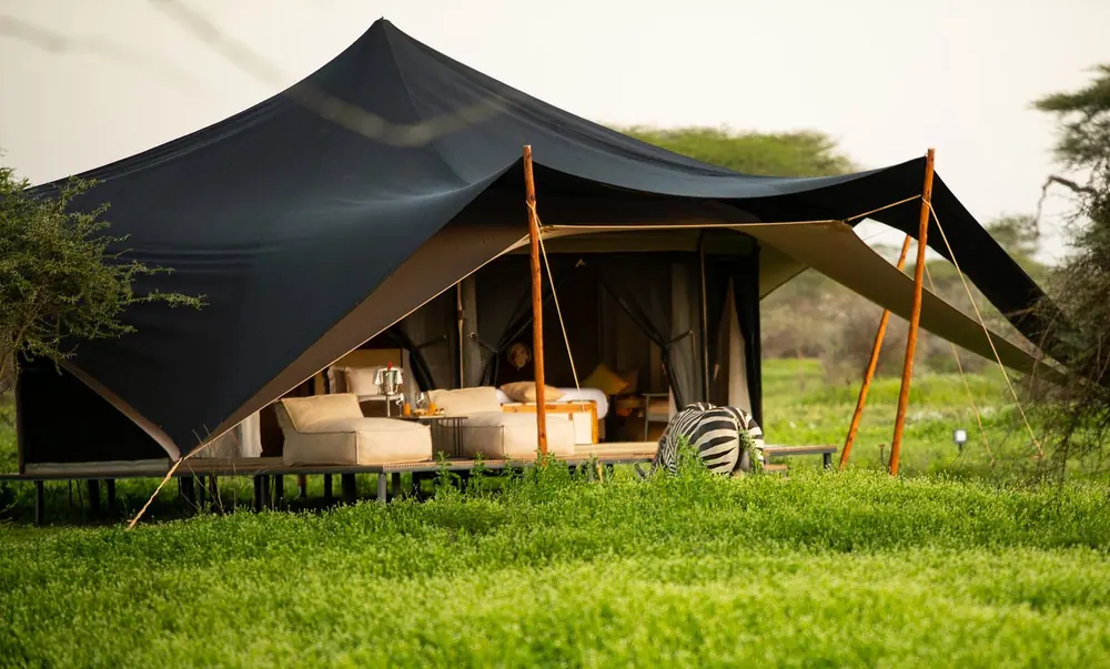 Nyuki Migration Camp