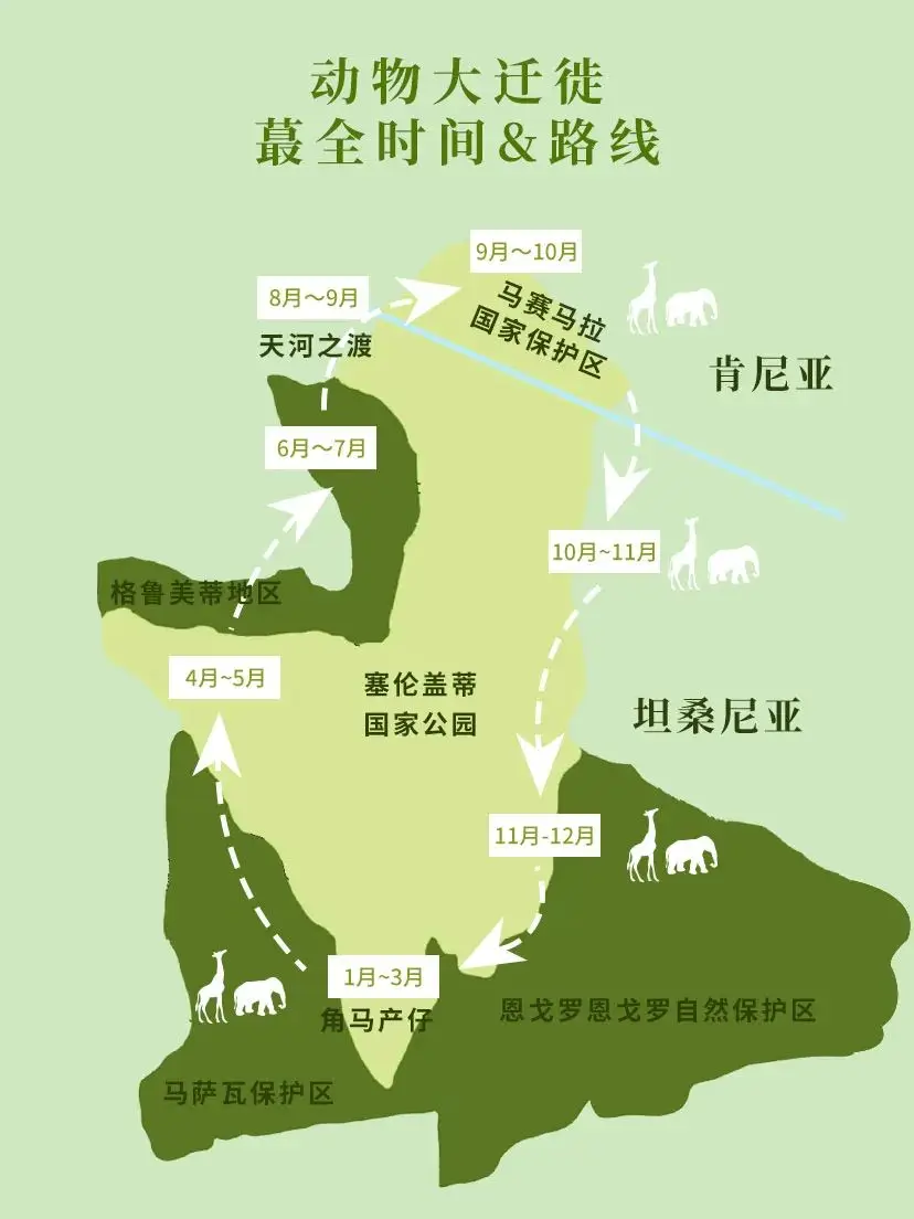 生命的礼赞 · 狂野东非路线图