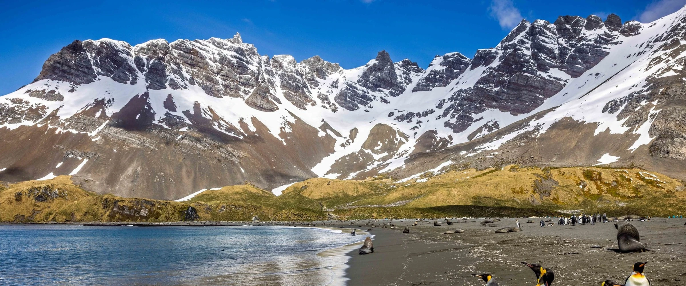 Seaventure 海神号 · 12天经典南极半岛 目的地风景