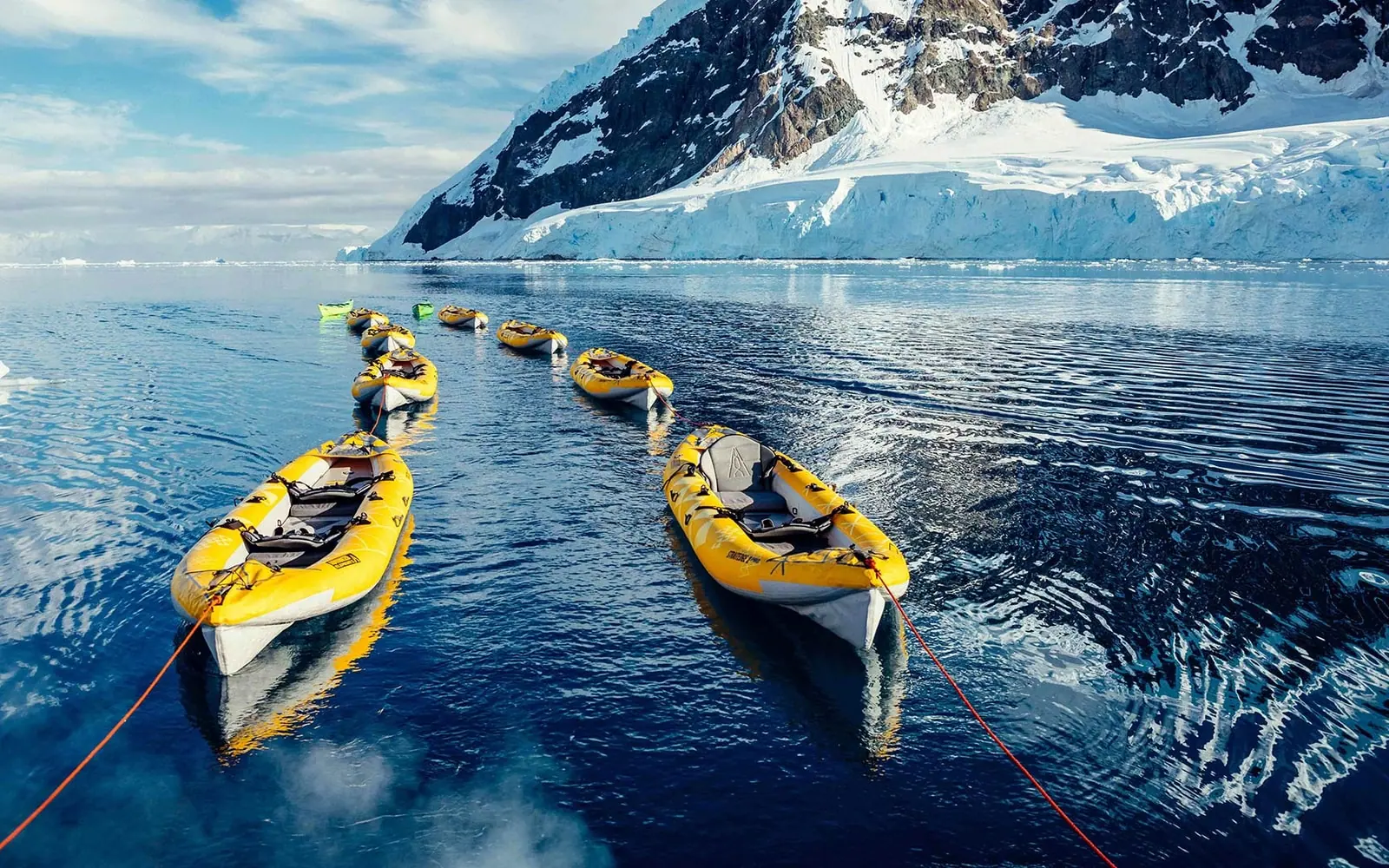 World Navigator 世界航海家号 · 7晚双飞南极半岛 海湾巡游与登陆
