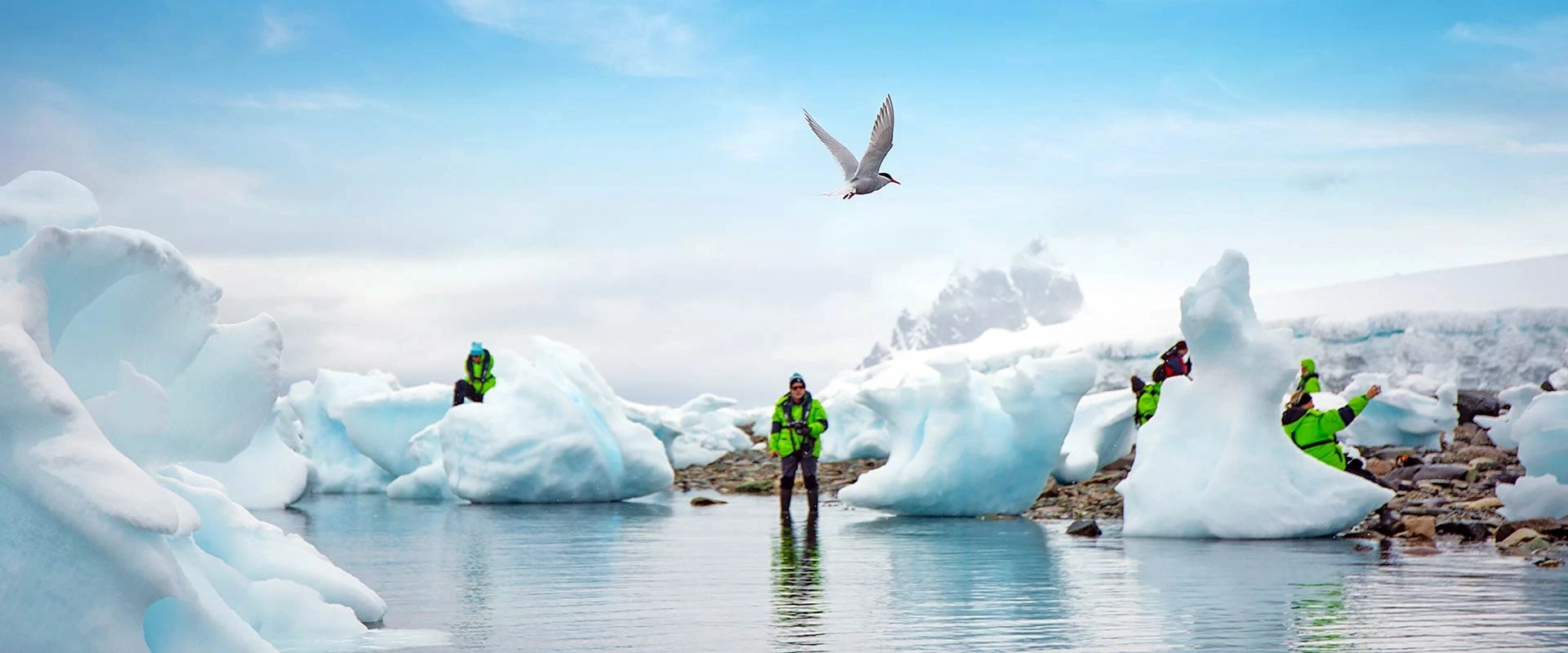 Douglas Mawson 摩森号 · 12天经典南极半岛 南极航程风景