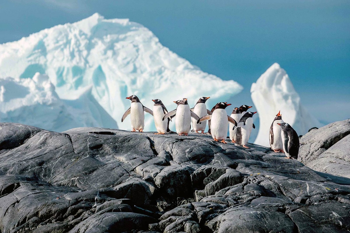 Magellan Explorer · 8-Day Antarctica Fly-Cruise, Nov 30, 2026
