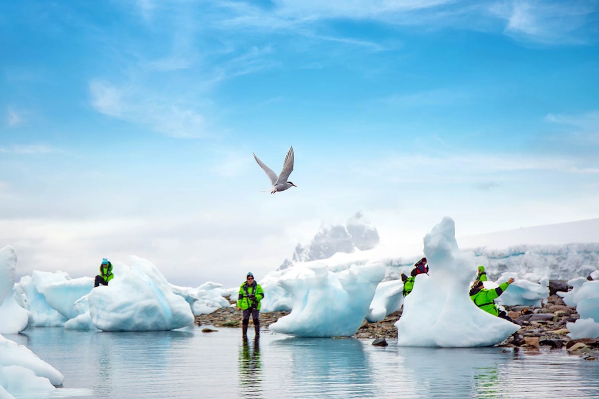 Douglas Mawson · 12-Day Classic Antarctic Peninsula Cruise, Feb 27, 2027