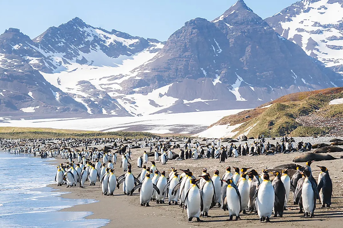 Le Lyrial · 19-Day Falkland Islands, South Georgia and Antarctic Peninsula Cruise, Dec 3, 2026